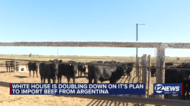Roger Marshall Downplays Argentina Beef Plan as a “Blip on the Screen” for Kansas Cattlemen: “I’m Begging Everyone to Take a Breath”