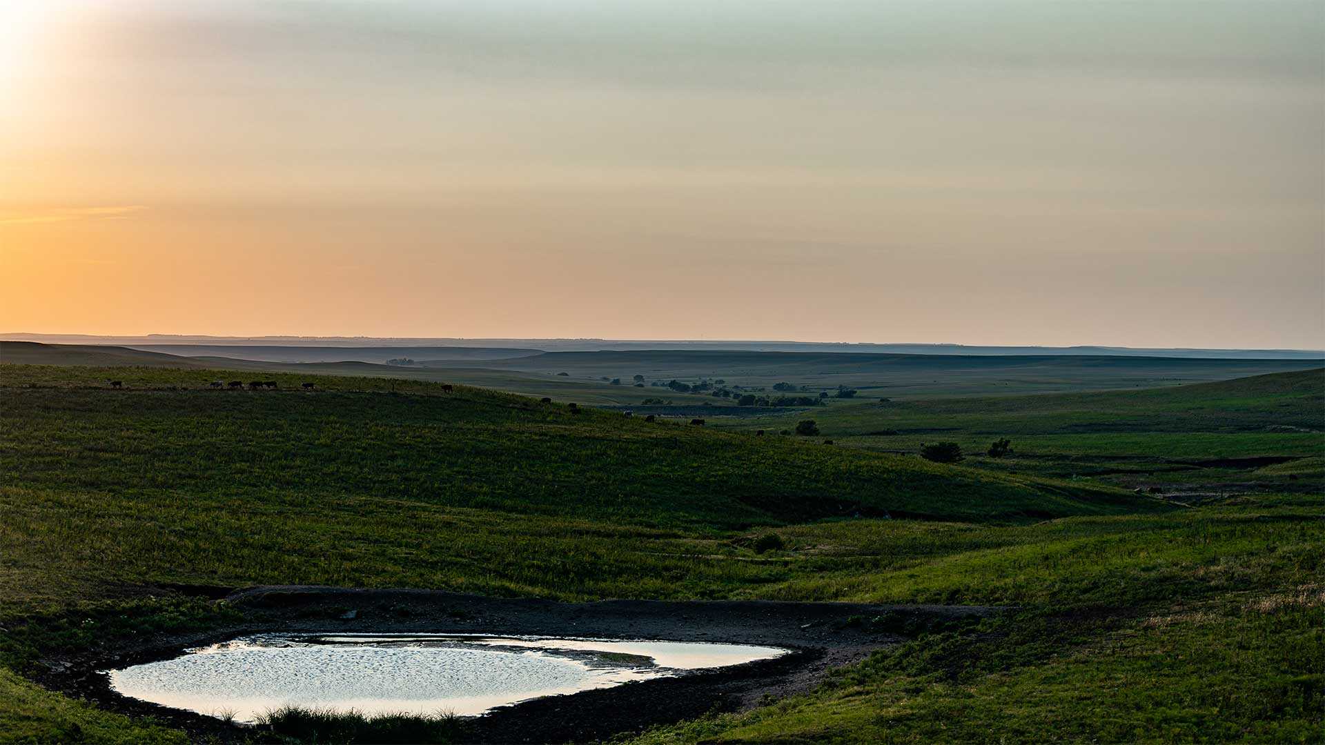 Flint Hills by Matt Kleinmann